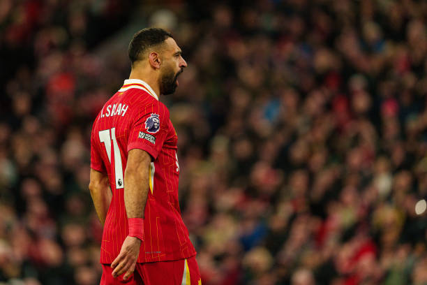 丰富经验 丰富经验